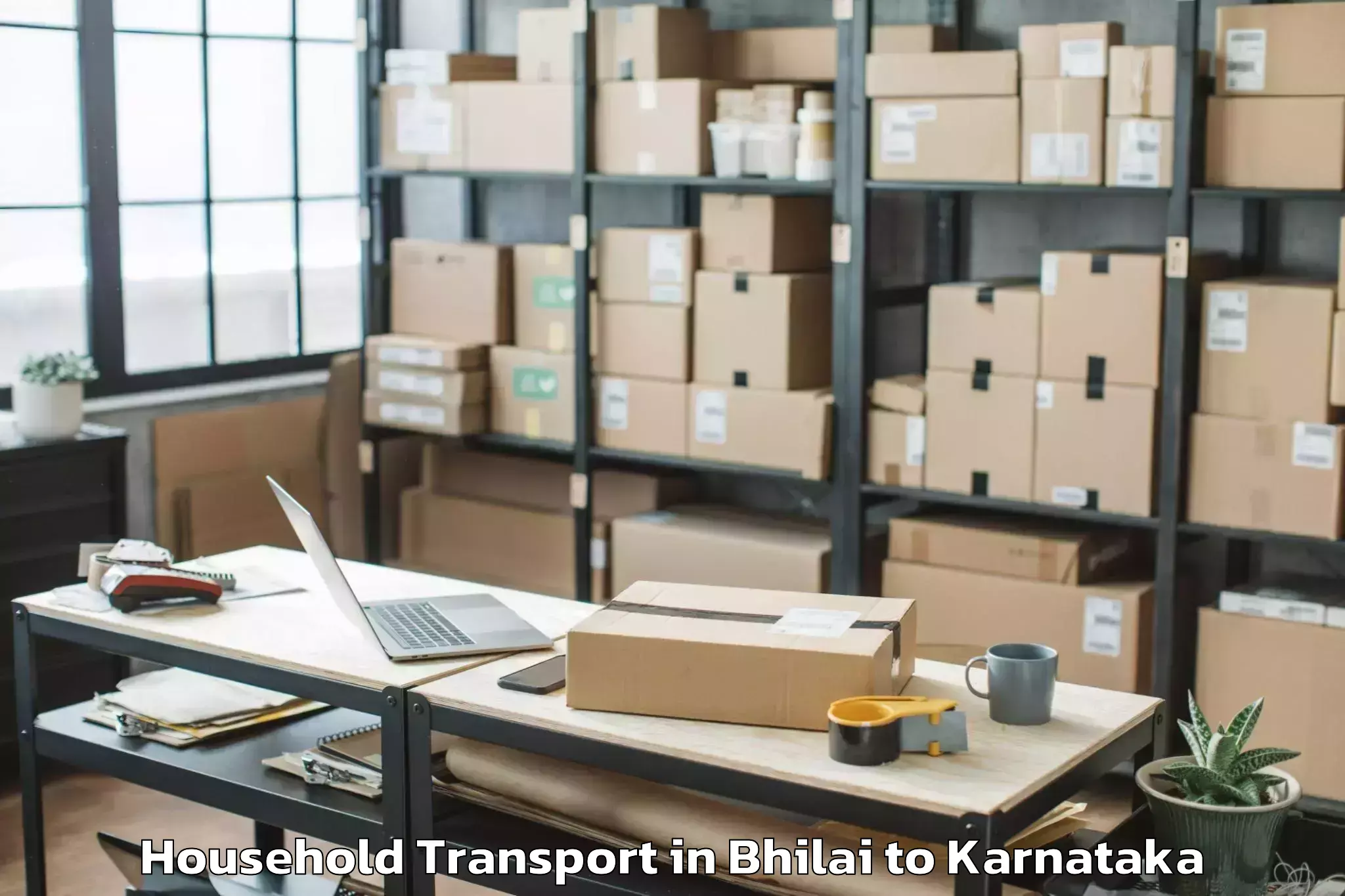 Book Bhilai to Chikkamagaluru Household Transport Online